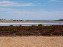 Coorong National park  - Australie